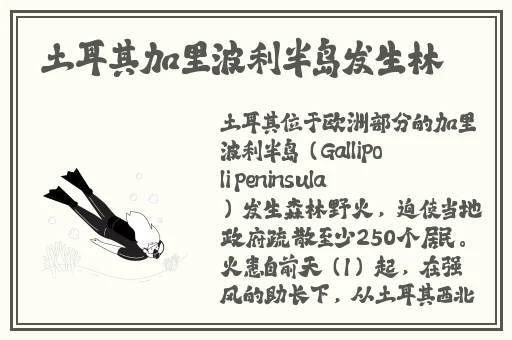 91w乳液78w5553特色